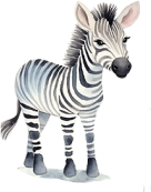 zebra.png